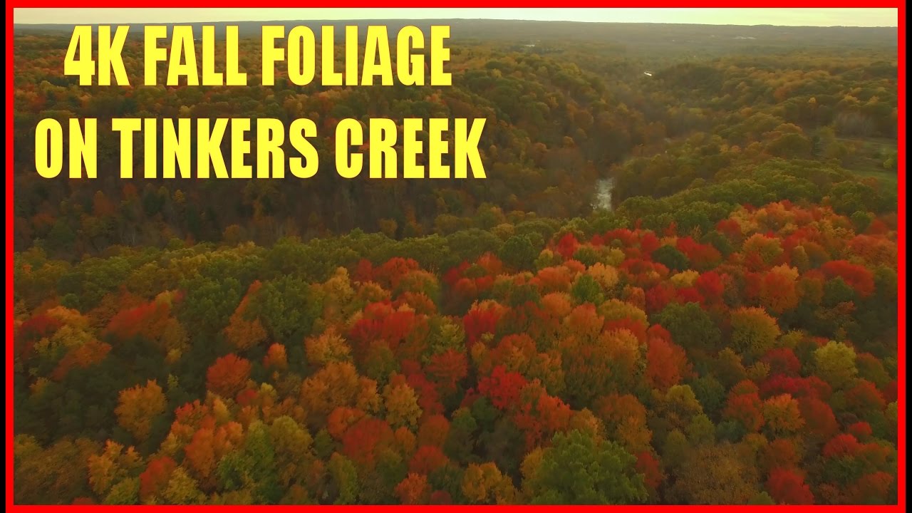 4K Fall Foliage on Tinkers Creek - Bedford, Ohio - Cleveland Metroparks System