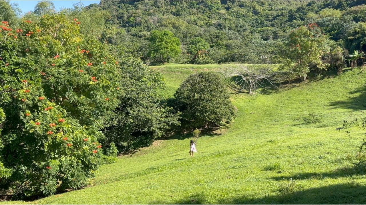 feeling my heart beat in puerto rico