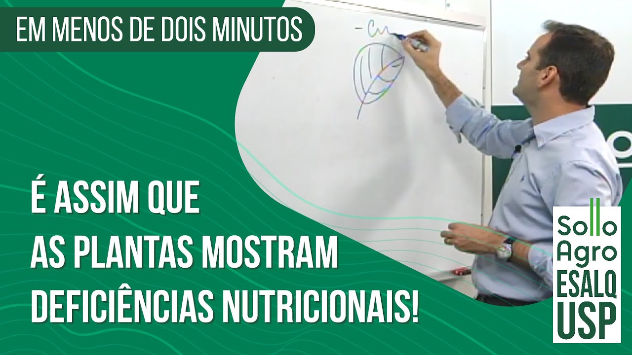 &Eacute; assim que as plantas mostram defici&ecirc;ncias nutricionais!