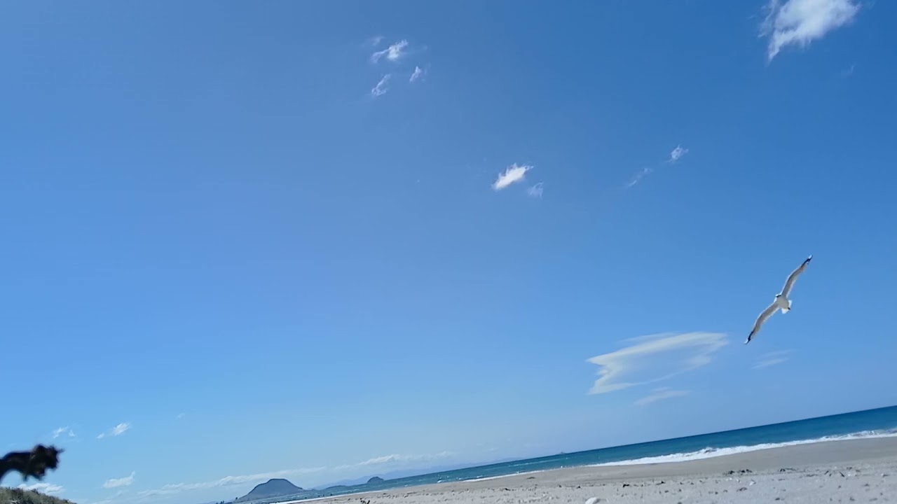 Earth rotation