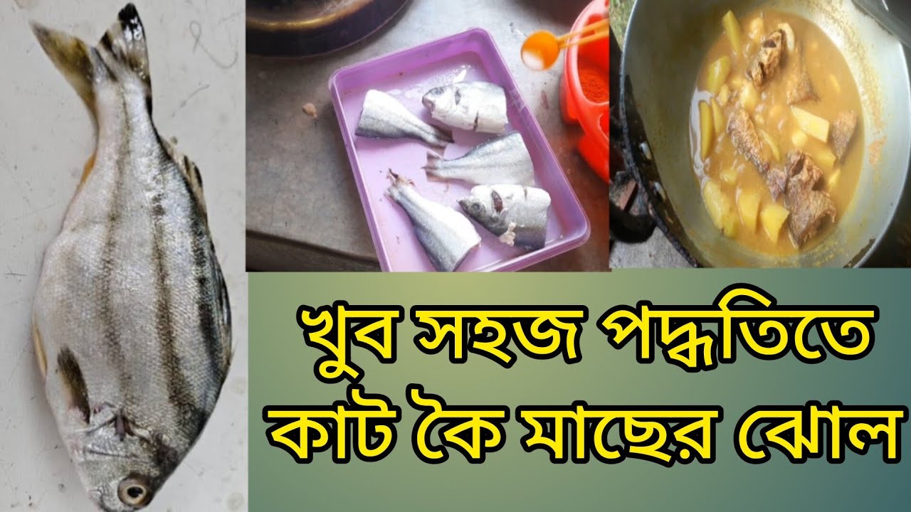 খুব সহজ পদ্ধতিতে কাট কৈ মাছের ঝোল 🥣 