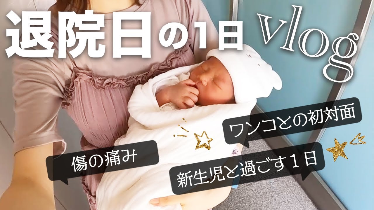 【里帰りなし】退院日！生後5日の赤ちゃんと過ごす1日vlog | わんことも初対面🖤【新生児】