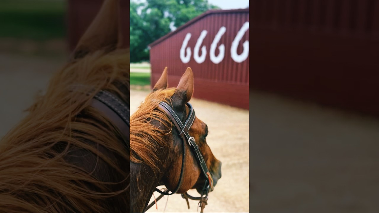 The 6666s Ranch #6666