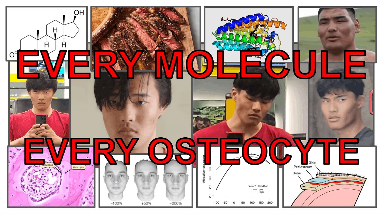 How to Increase Your BONEMASS