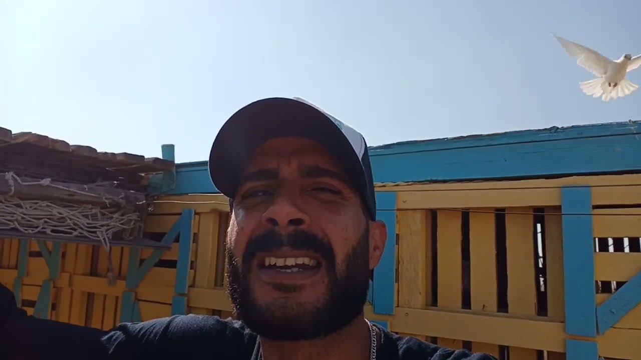 اول فزعة للزغاليل وعلاج طبيعي بالخلطة السحرية_وتحبيس دكوره النش#حسين_الخطيب