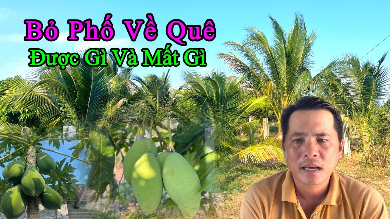 Bỏ Phố Về Quê . Bạn Phải Chấp Nhận Những Cái Được Và Mất .