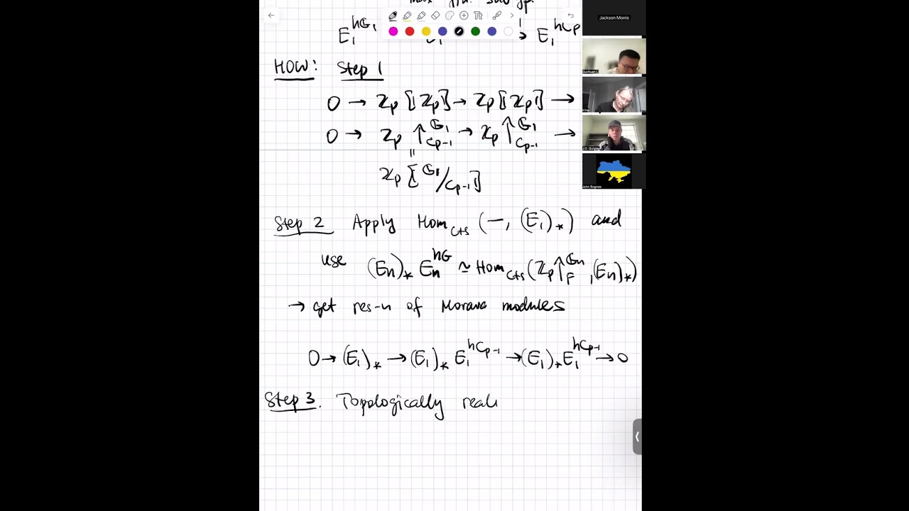 Irina Bobkova (Texas A&M) - A resolution of the K(2)-local sphere
