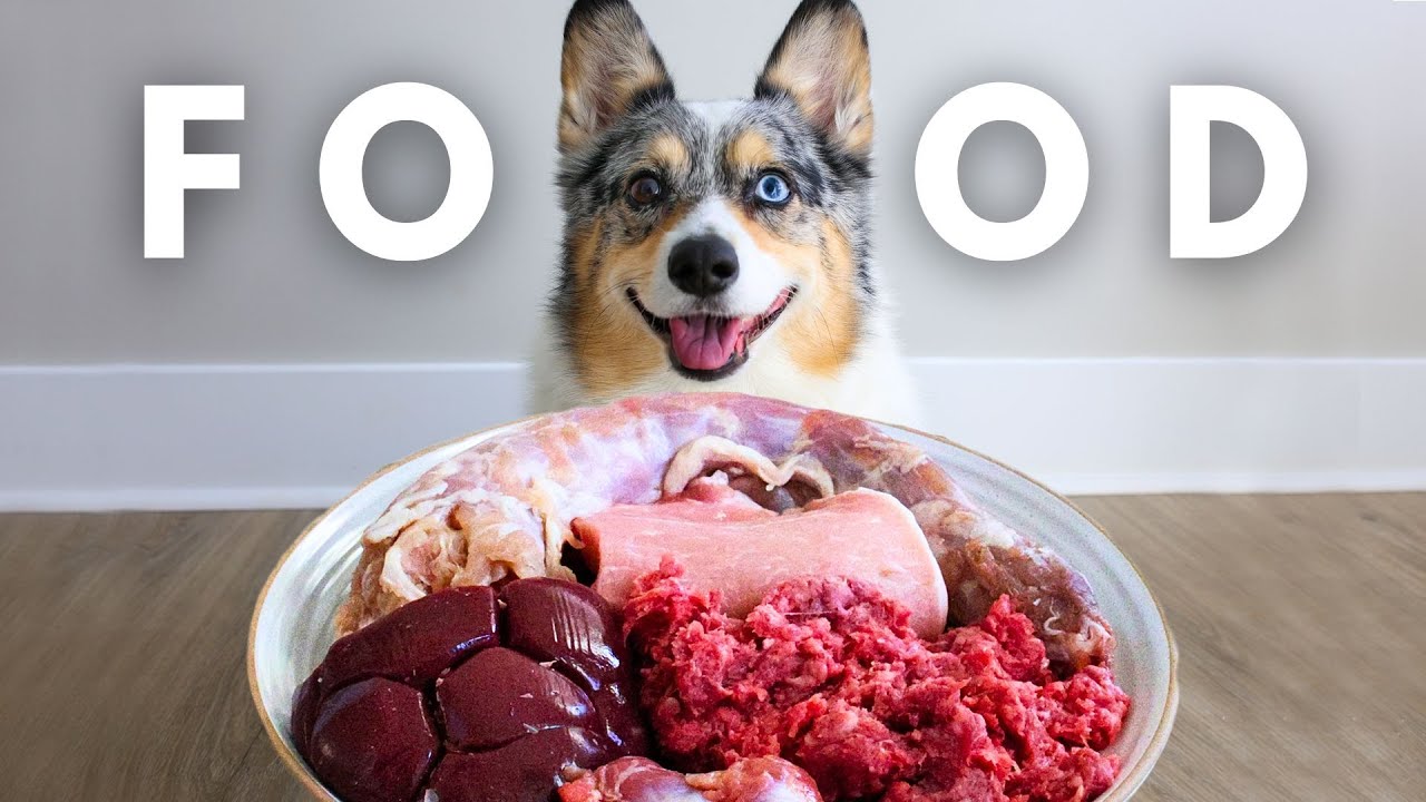 How To Raw Feed Your Dog For Beginners (Complete DIY Guide)