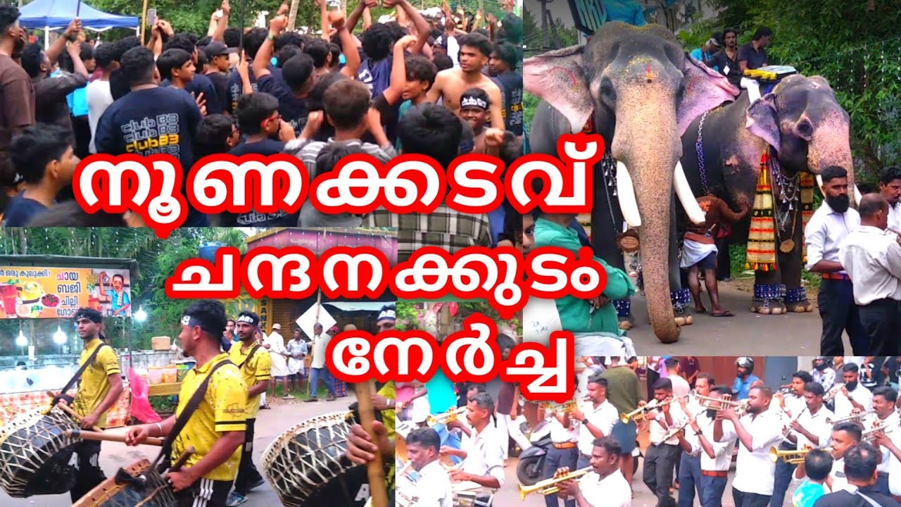 നൂണക്കടവ് ചന്ദനക്കുടം നേർച്ച |  Noona kadavu  Nercha  2025 Perumbadappu