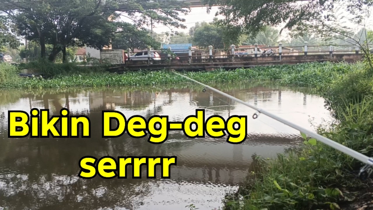 Sungguh terlalu‼️Spot mancing ini bikin Deg-deg serrrr dan kaki kesemutan | Solo Fishing