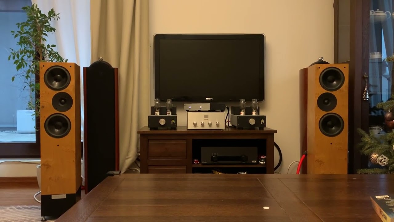 Audion Silver Night mk2 Parallel SE + Audio Note M1 Line + Living Voice IBX-R2 - Walk a mile