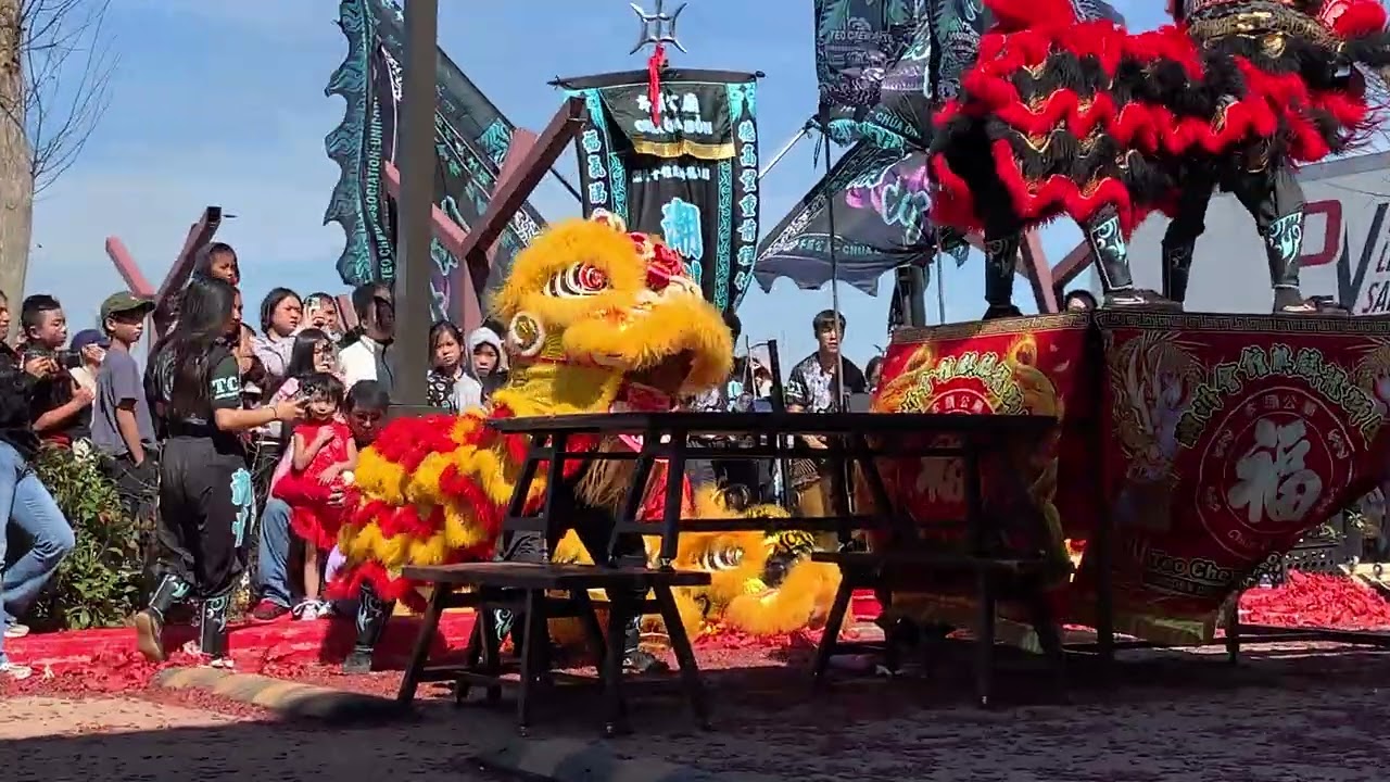 Chua Ong Bon Lion Dance at Hong Kong City Mall