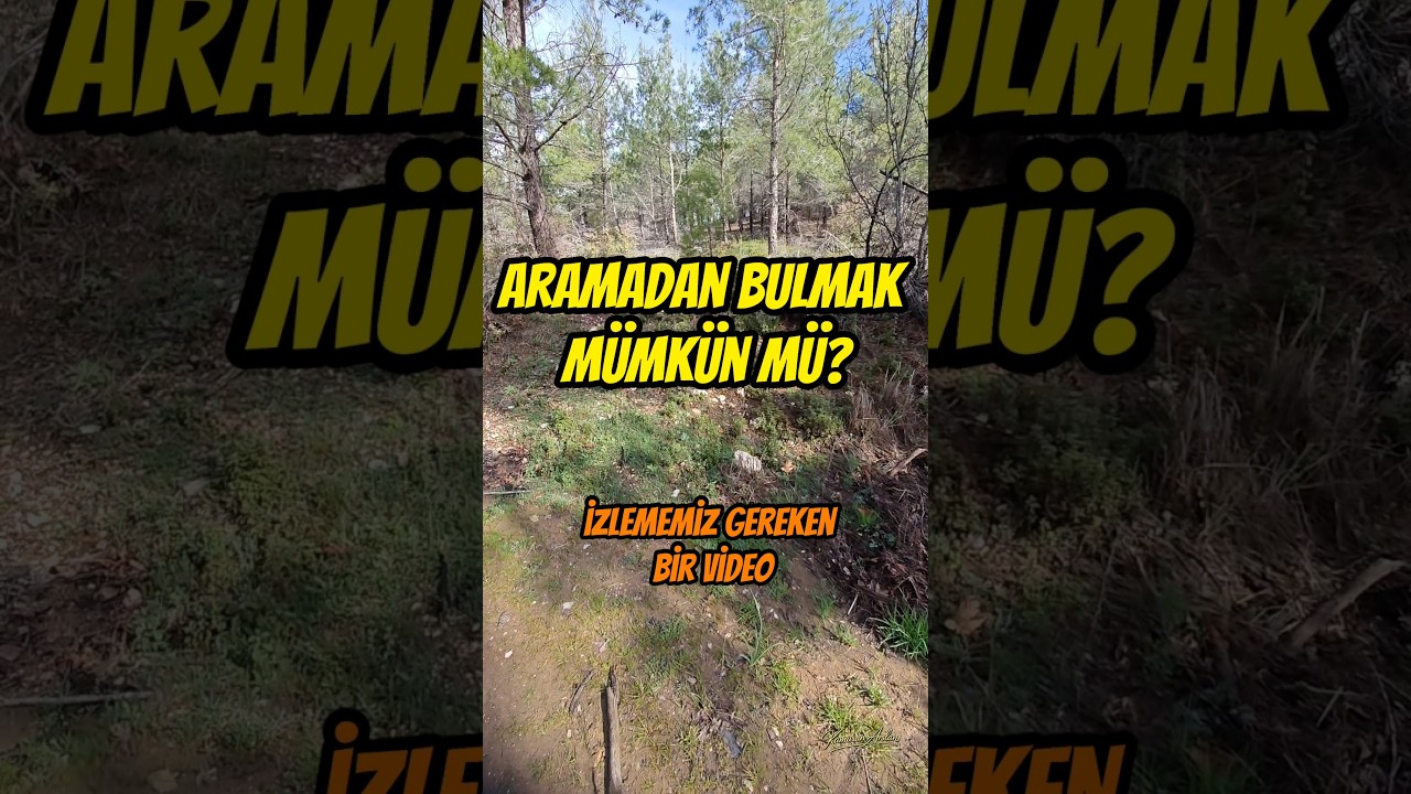 Kuzug&ouml;beği Aramadan Bulmak M&uuml;mk&uuml;n m&uuml;?