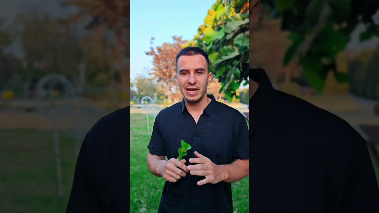 top 5 camerafon #cameraphone #obzor #qiziq #unboxing #smartphone #prikol