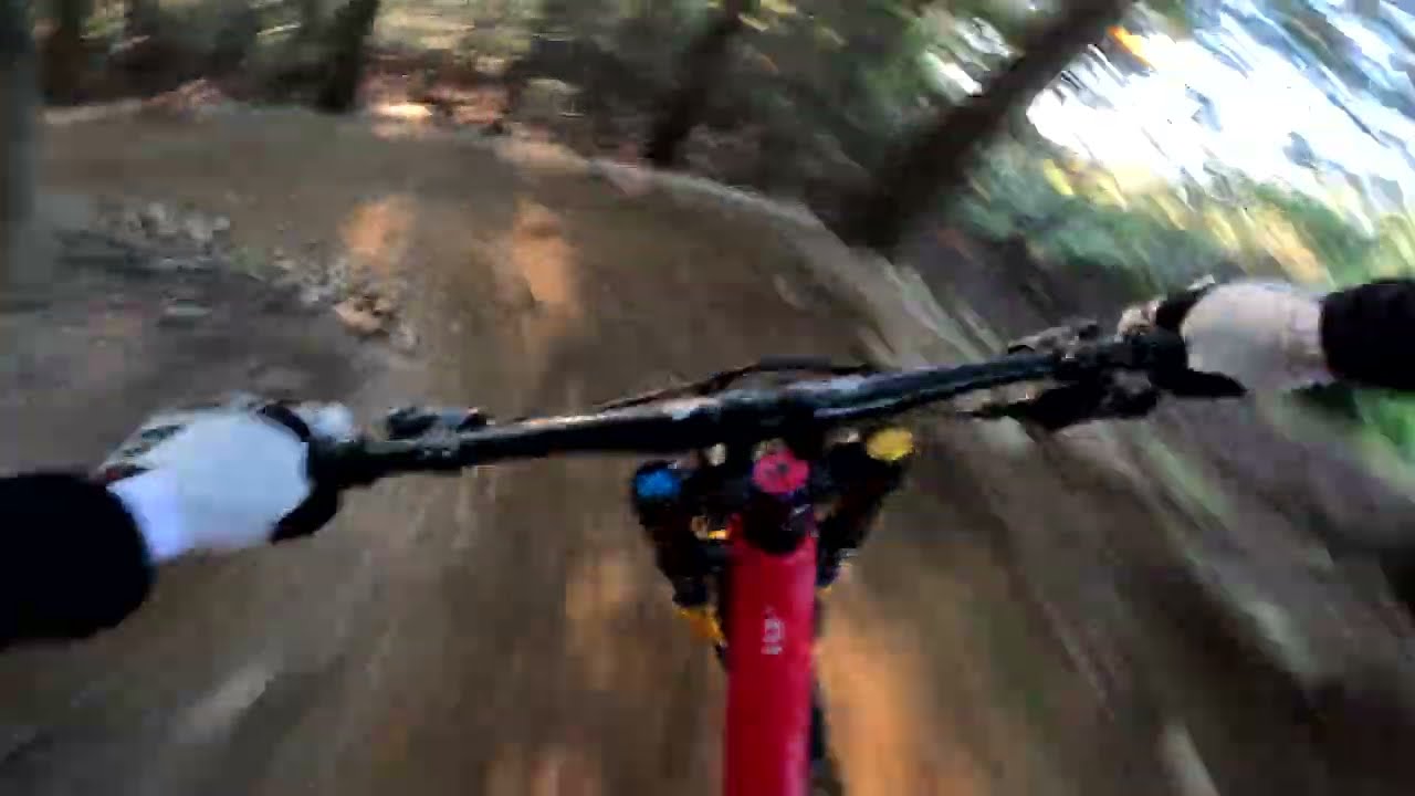 Kasina Bike Park - Dzika z przygodami w 4K