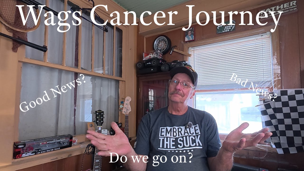 Wags Cancer Journey. Cancer or Cancer free? January update