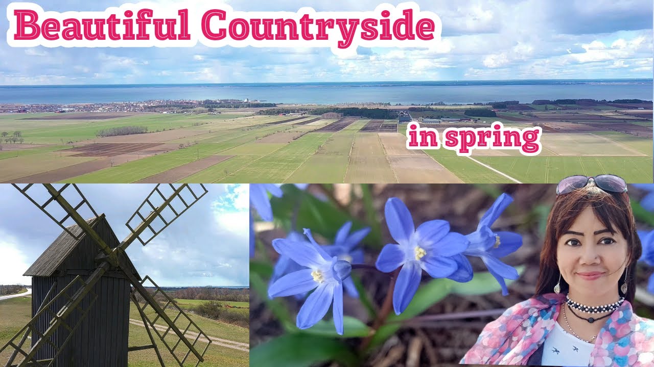 Beautiful Countryside in Spring Öland Sweden