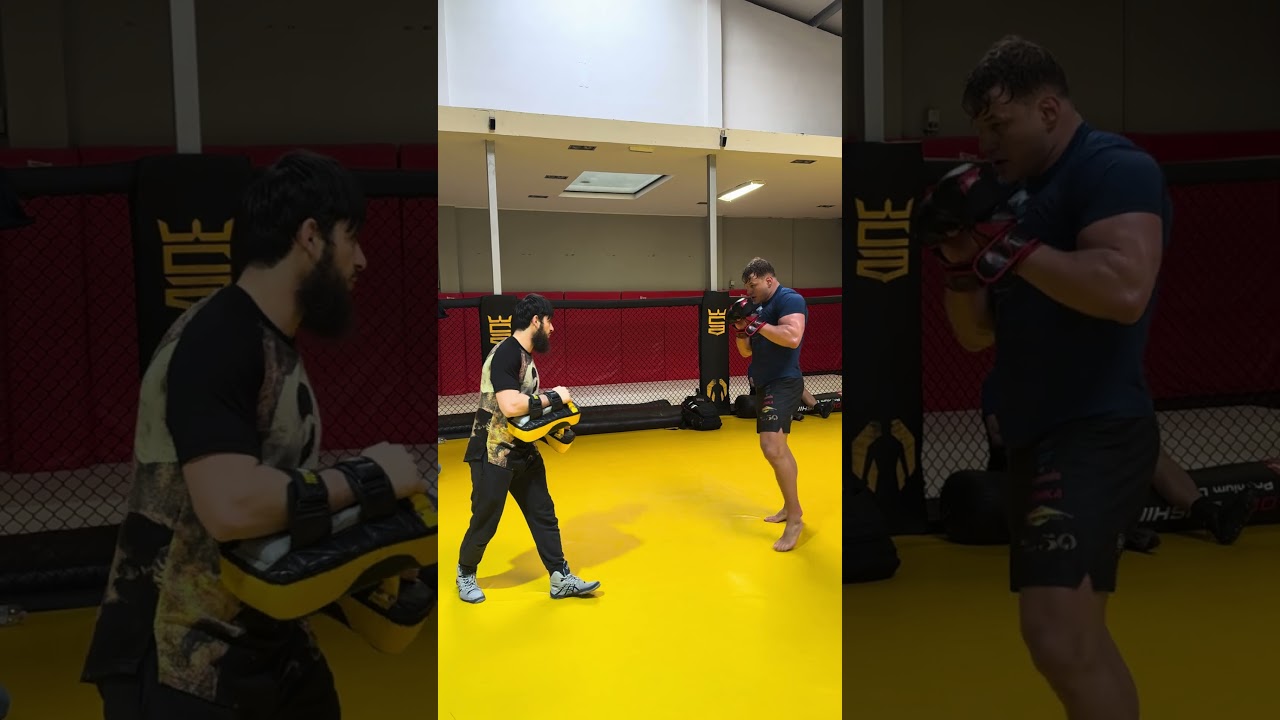 z trenerem Anzor Azhiev robota ✅🔥 #tempo #fight #fighter #wca #goodvibe #mma #grwm