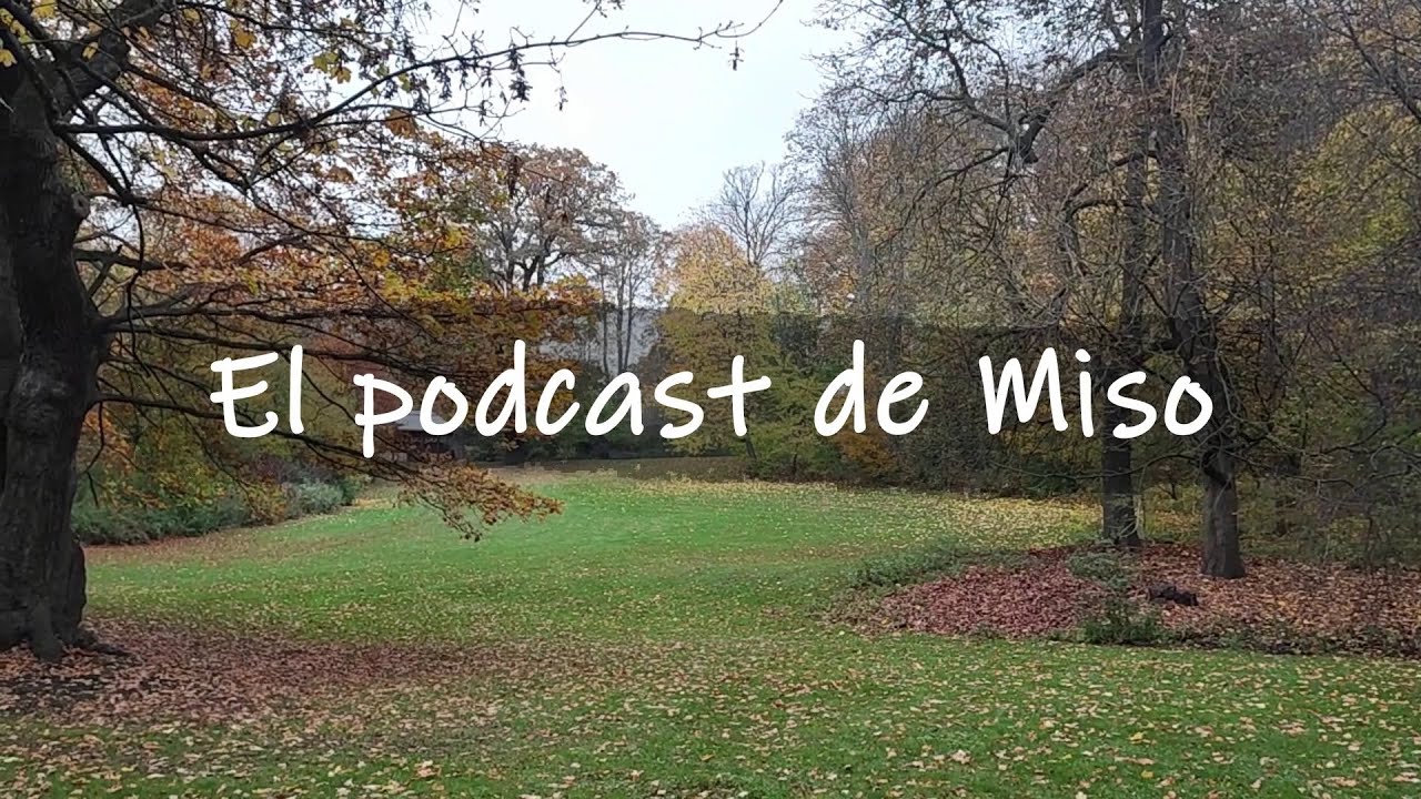 El podcast de Miso - Ep99 Rayas, bíceps y paz mental