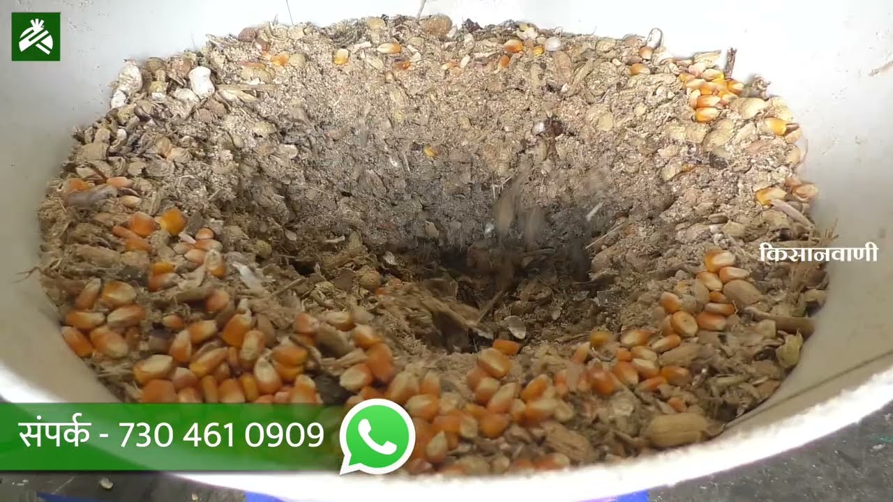‘या’ व्यवसायातील मालाला वर्षभर मागणी, बुकींगशिवाय विक्रीच नाही | New Manufacturing Business Ideas
