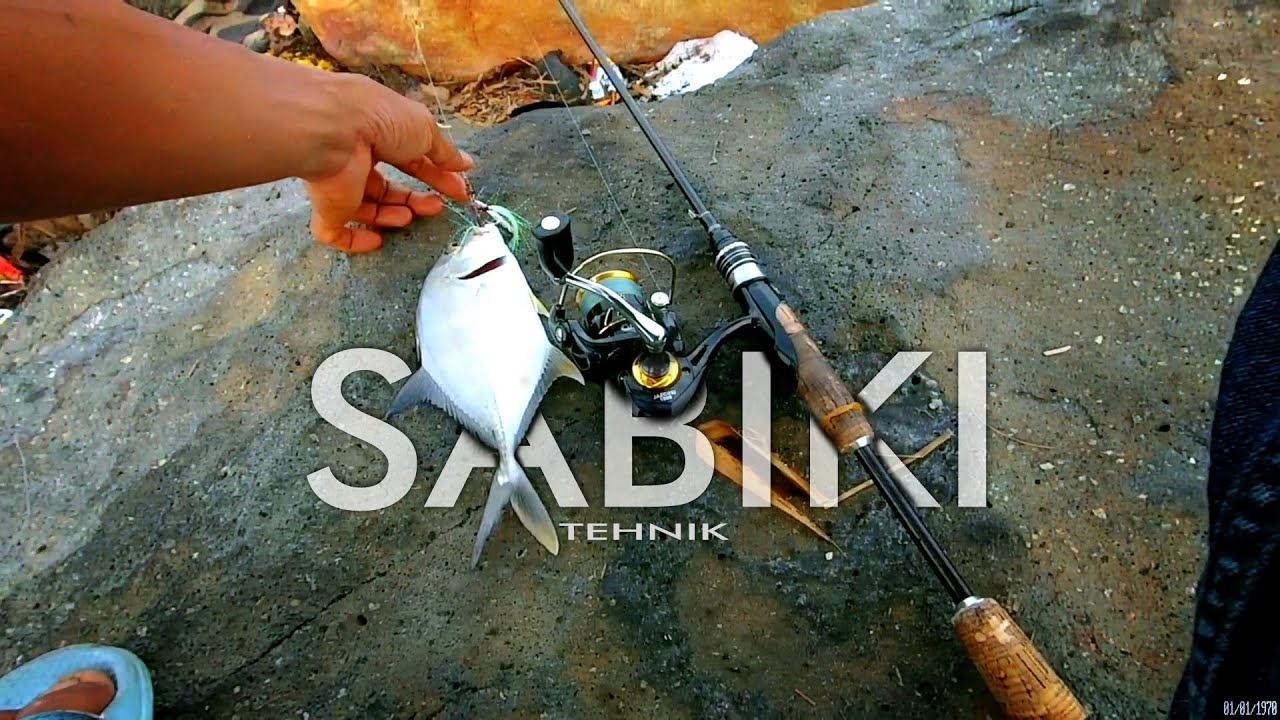 Tehnik Sabiki Strike Baby Giant Trevally