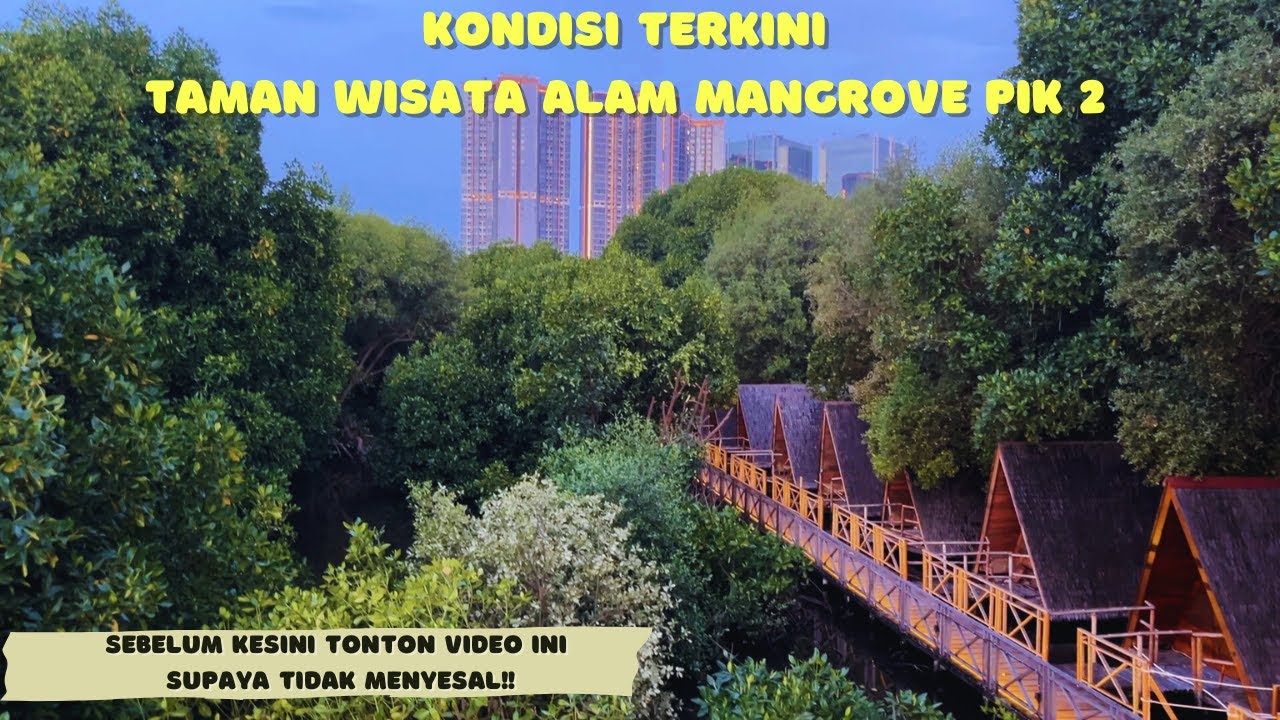 TERBARU‼️EXPLORE TAMAN WISATA ALAM MANGROVE ANGKE KAPUK | SUNSET DI HUTAN MANGROVE PIK