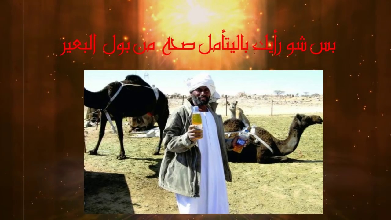 راب عراقي ( ملينا 8 ) ARMANDO_Diss on Lyrical _ ارماندو