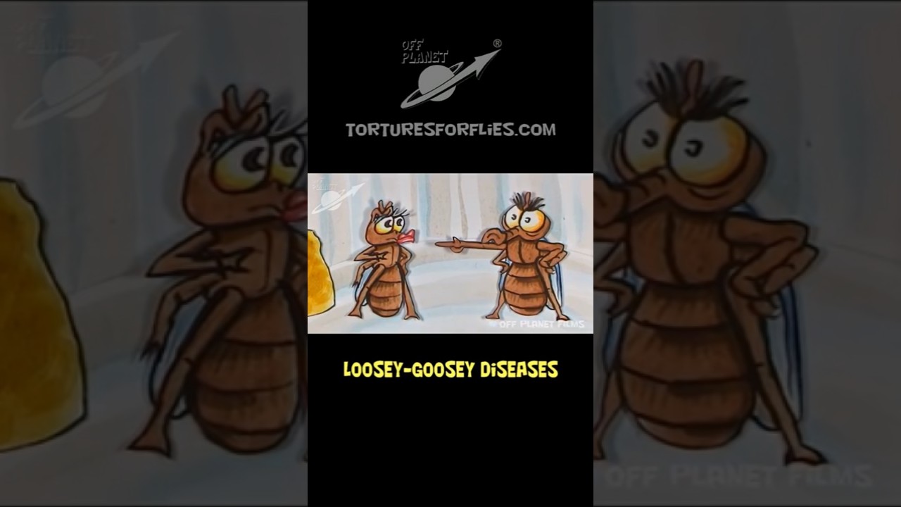 Fly vs Floozy!! #shorts #fly #cartoon