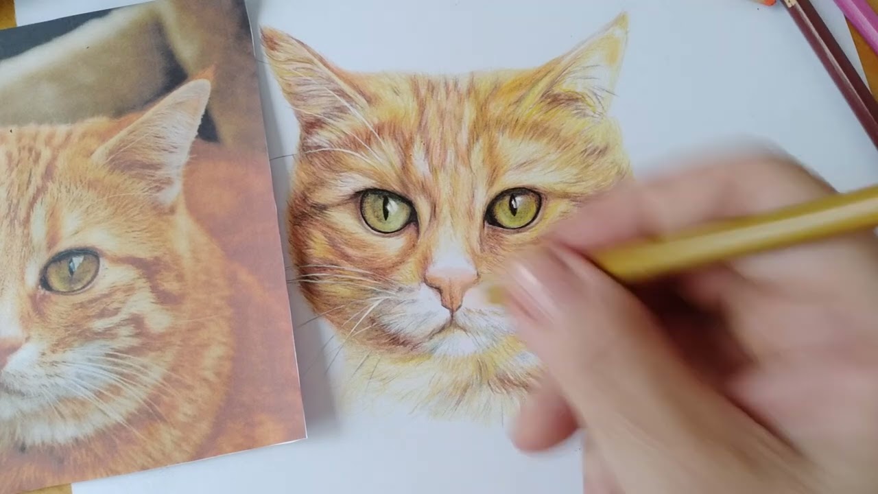 tutorial desenho realista gato passo a passo: boca