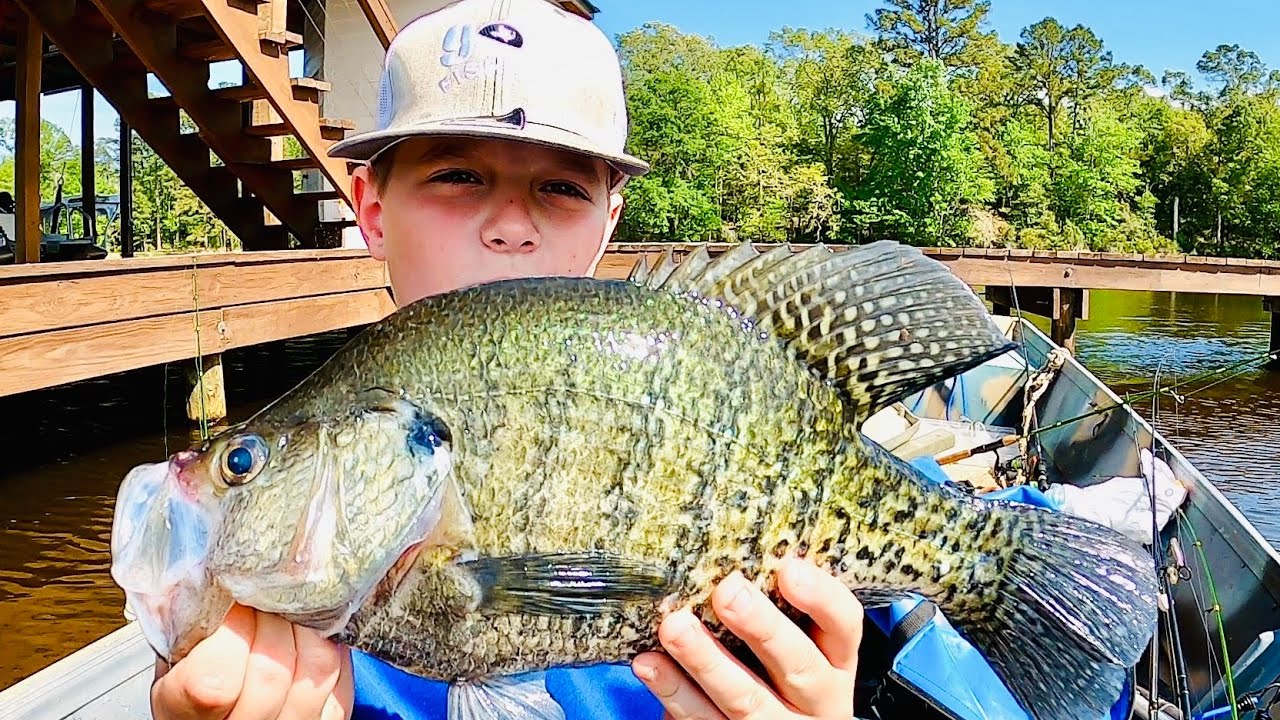 MONSTER CRAPPIE WERE HIDING UNDER THIS DOCK😳 CRAPPIE FISHING WITH A JIG 2024‼️