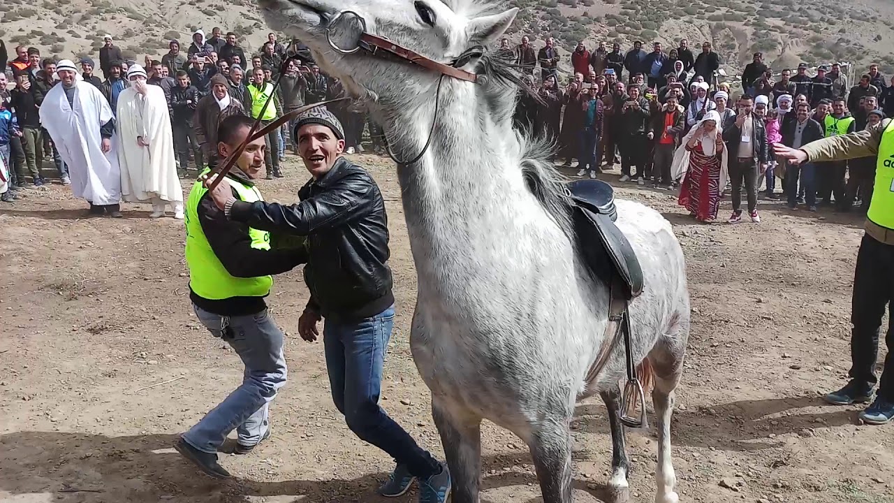 إحتفال يناير بلدية وادي الطاقة