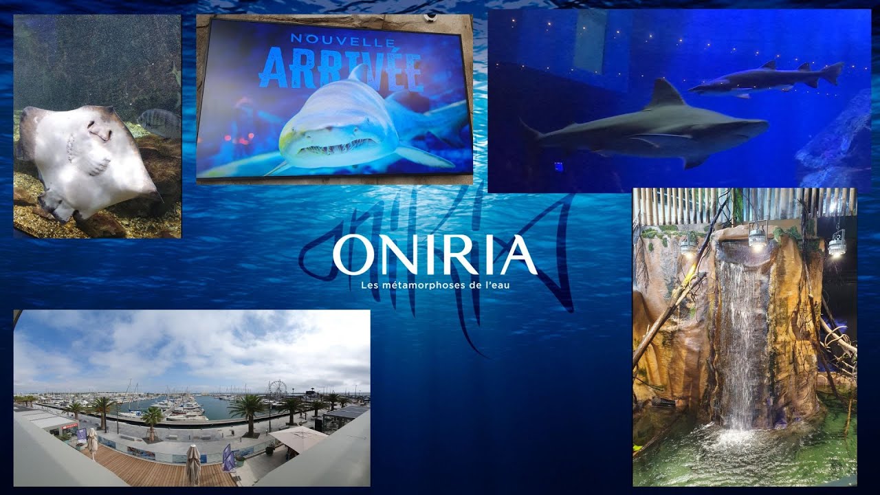 🦈 Visite de l'aquarium Oniria à Canet En Roussillon.