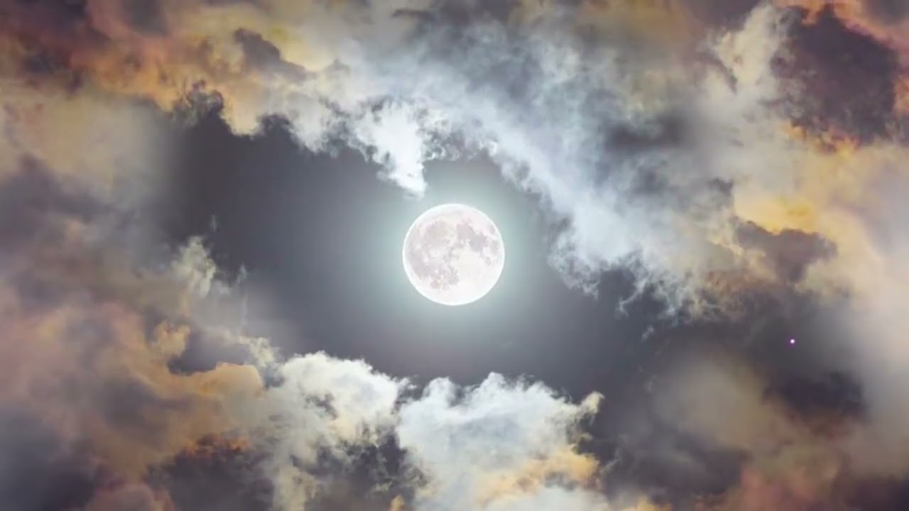 silhouettes in the moonlight by teamgbaby