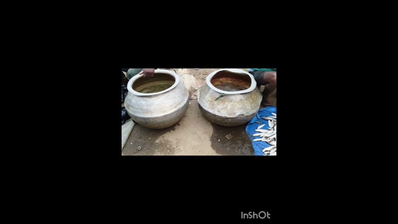 Local Fish Market #viralvideo#Fish#viralvideo #viral #yt 