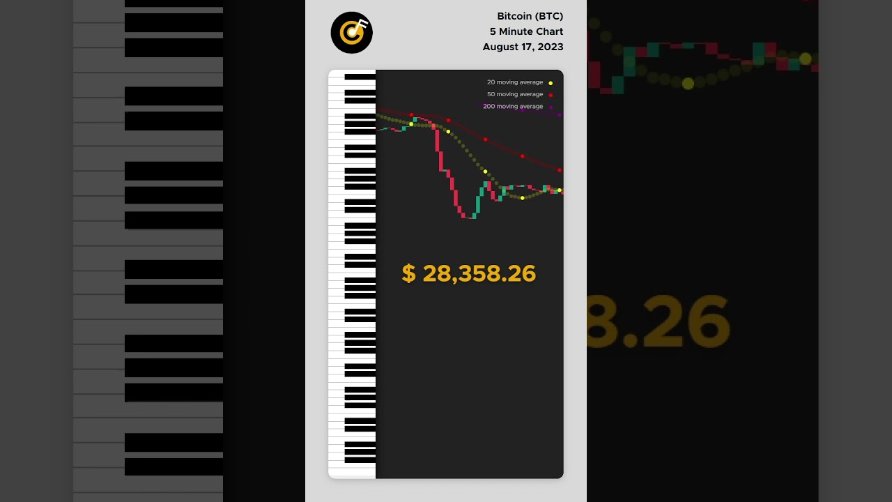 CRAZY Bitcoin 5 minute chart to piano  #cryptostats #forex #cryptocurrency #binance #cryptosignals