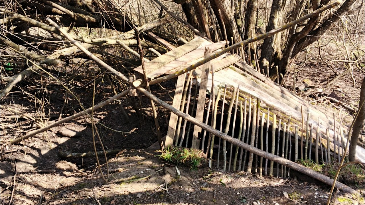 Я строю ХИЖИНУ в лесу, используя лишь ТОПОР.