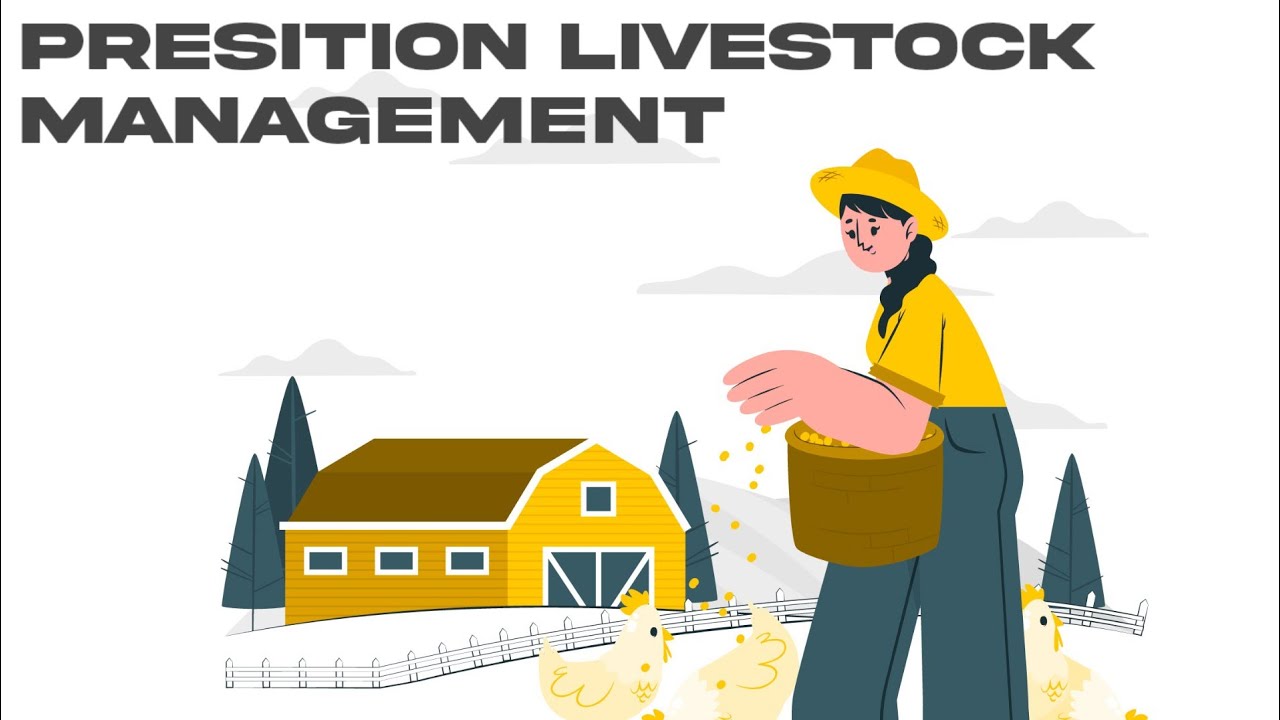 Precision livestock farming