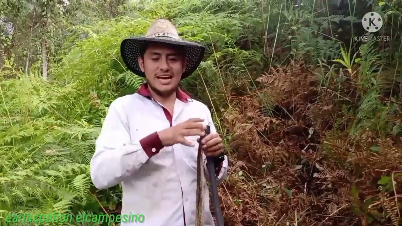 como destapar la tuber&iacute;a dela finca 😅😉