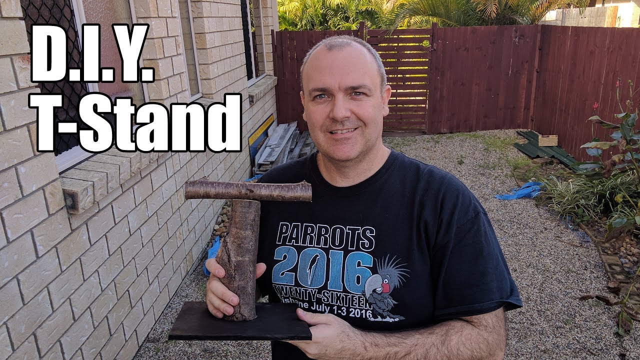 How to make a parrot T-stand to weigh your bird