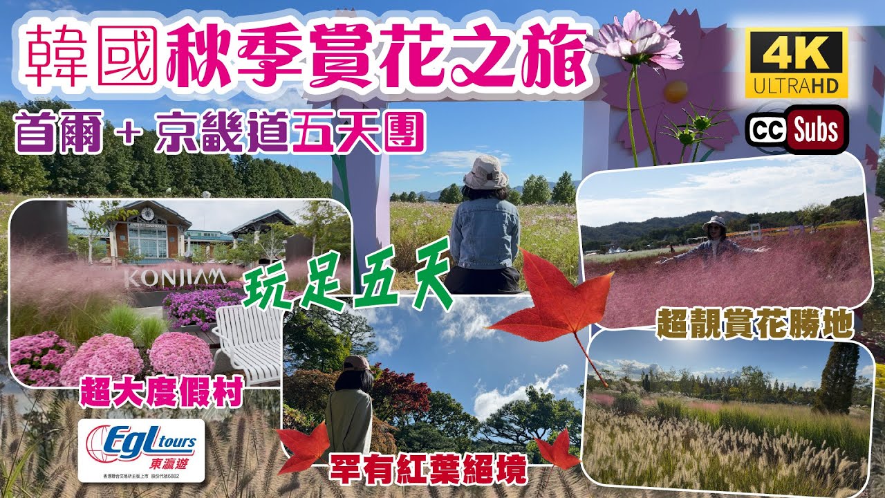韓國秋季賞花之旅 | 首爾 + 京畿道五天團 | 玩足五天CP值高 | 超大渡假村🏠可升級過千尺家庭房 | 罕有紅葉絕境🍁一票難求 | 米芝蓮美食 | 韓燒放題 | 超靚賞花勝地 | 東瀛遊
