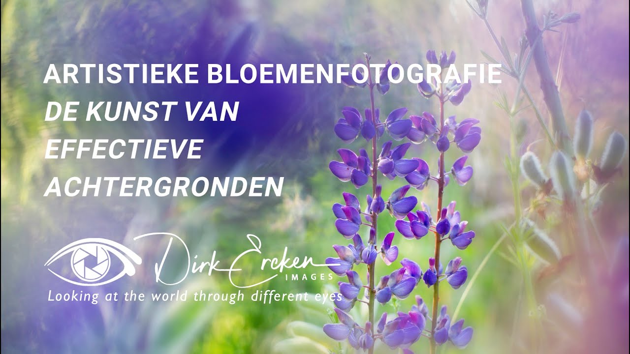De kunst van effectieve achtergronden - Masterclass Artistieke Bloemenfotografie