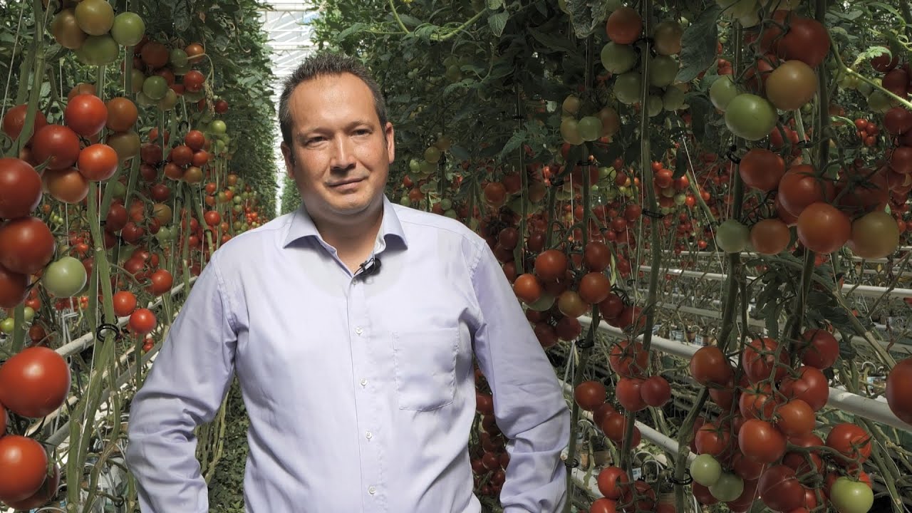Portfolio Agrárdíjak 2022 - Év kertészete - Hódkertész Kft.