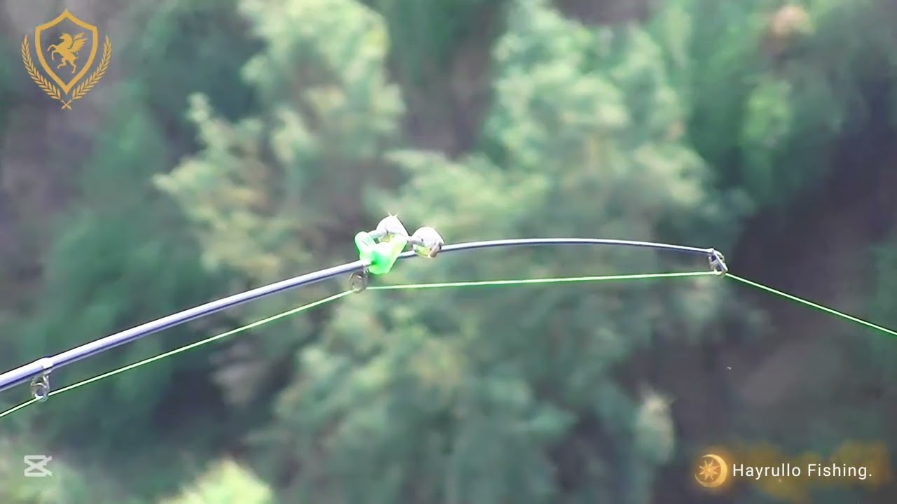 Kechikkan vidyo 2025-14-avgus.Daryoda baliq ovi.