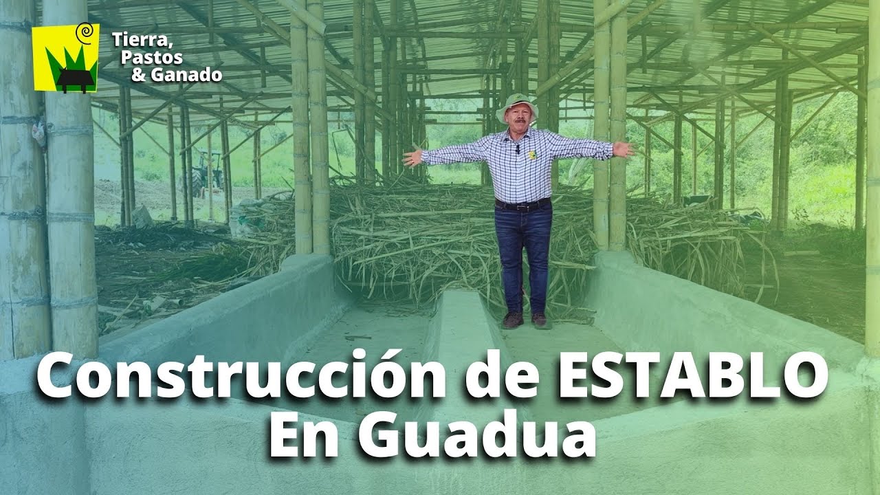 Cuánto Cuesta $ Construir un ESTABLO? Parte 2