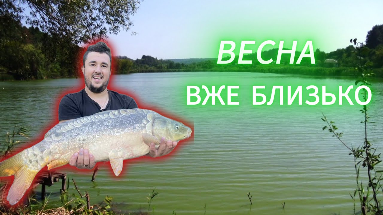 ВЕСНА ВЖЕ БЛИЗЬКО! КОРМ ЯКИЙ ДІЙСНО ПРАЦЮЄ! ЯК ЙОГО ПРИГОТУВАТИ?