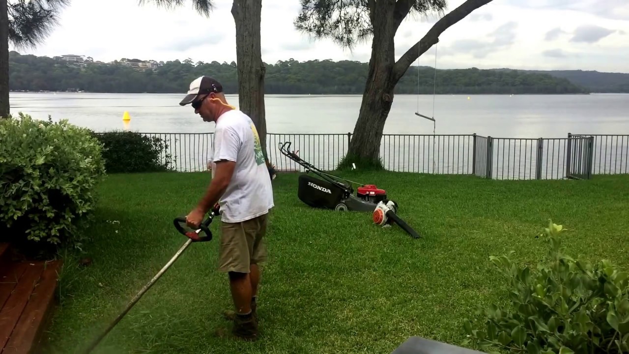Mowing the lawn with a Honda Self Propelled Lawn Mower Stihl Trimmer and Leaf Blower