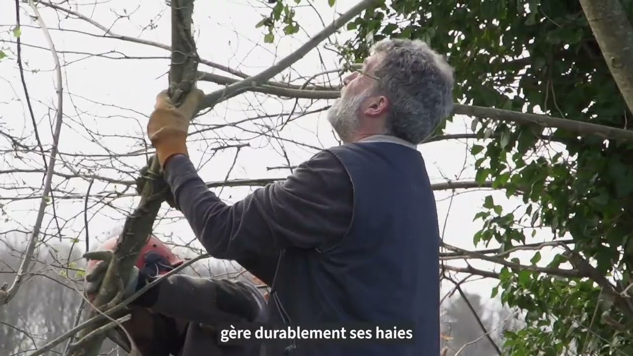 Label Haie : une plateforme pour suivre la gestion et la valorisation de ses haies