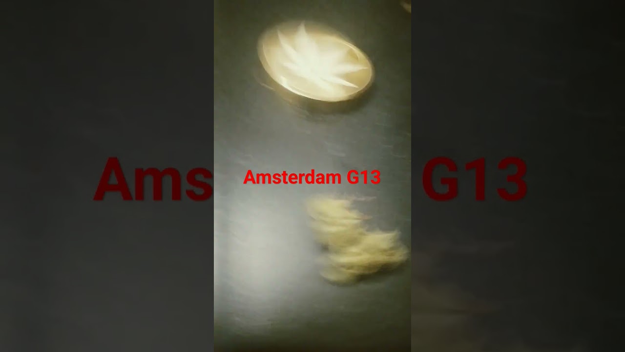 weed G13 amsterdam