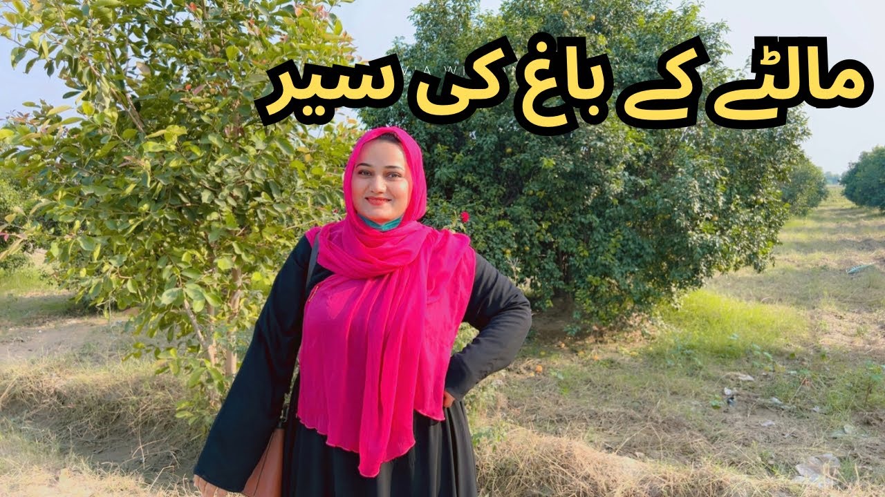 Sunday Special Tour | Aaj Ham Gay Ghomnay phirnay 