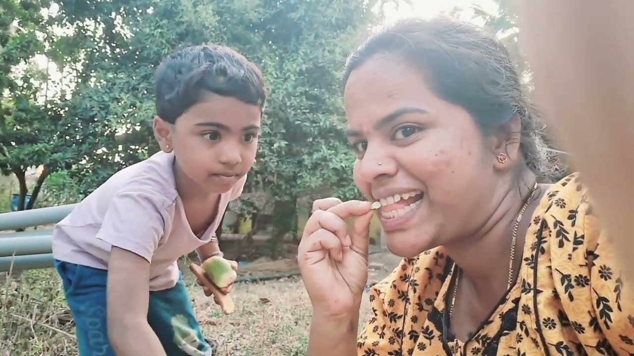 ಜಂಬೆ ಕಾಯಿ ತಿನ್ನಲು ಬಲು ರುಚಿ | Jambe mara | Xylia xylocarpa | Fruit looks like a weapon Jambe